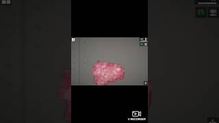 Melon Playground The Brain Mod