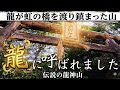 【龍に呼ばれました】虹の橋を渡り龍が鎮まった伝説の龍神山（和歌山）で感じたサイン
