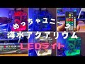 【アクアリウム】最高にユニークなLEDライト/ゼンスイマルチカラーLED/ただちょっと気になるところも・・・