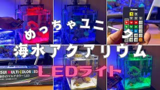 【アクアリウム】最高にユニークなLEDライト/ゼンスイマルチカラーLED/ただちょっと気になるところも・・・