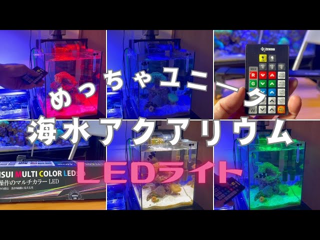 ターチマチュー 海水ライト アクアリウム】最高にユニークなLEDライト/ゼンスイマルチカラー