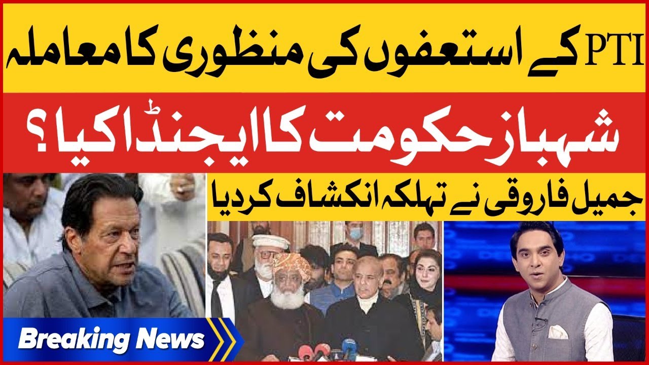 PTI MNAS Resignation Accepted | Jameel Farooqui Revealed Inside Story | PTI Vs PDM | Breaking News