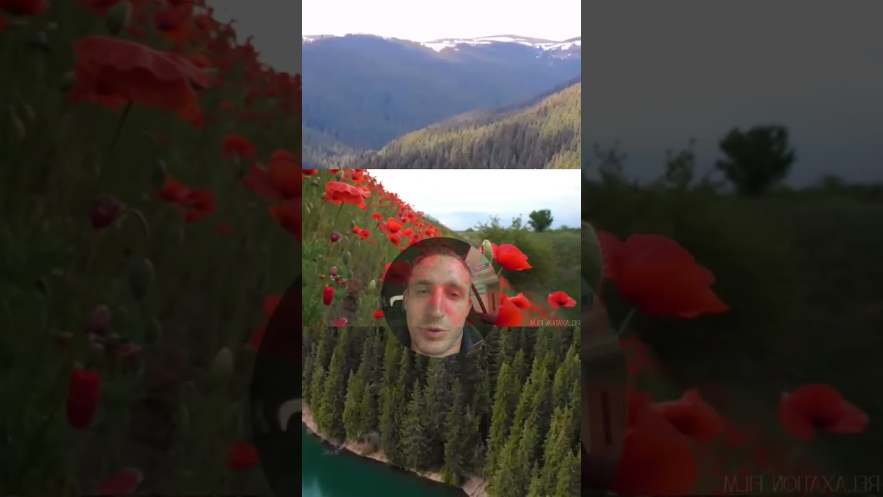 Главный приз от Литвина: смотри! 