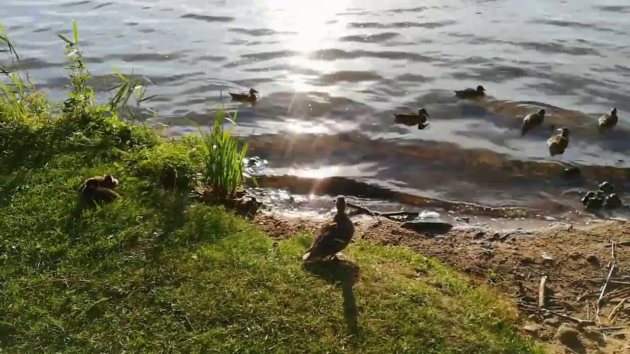 Озеро колок