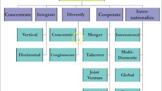 OER - Strategy Formulation - Module 4 - Corporate Level Strategies