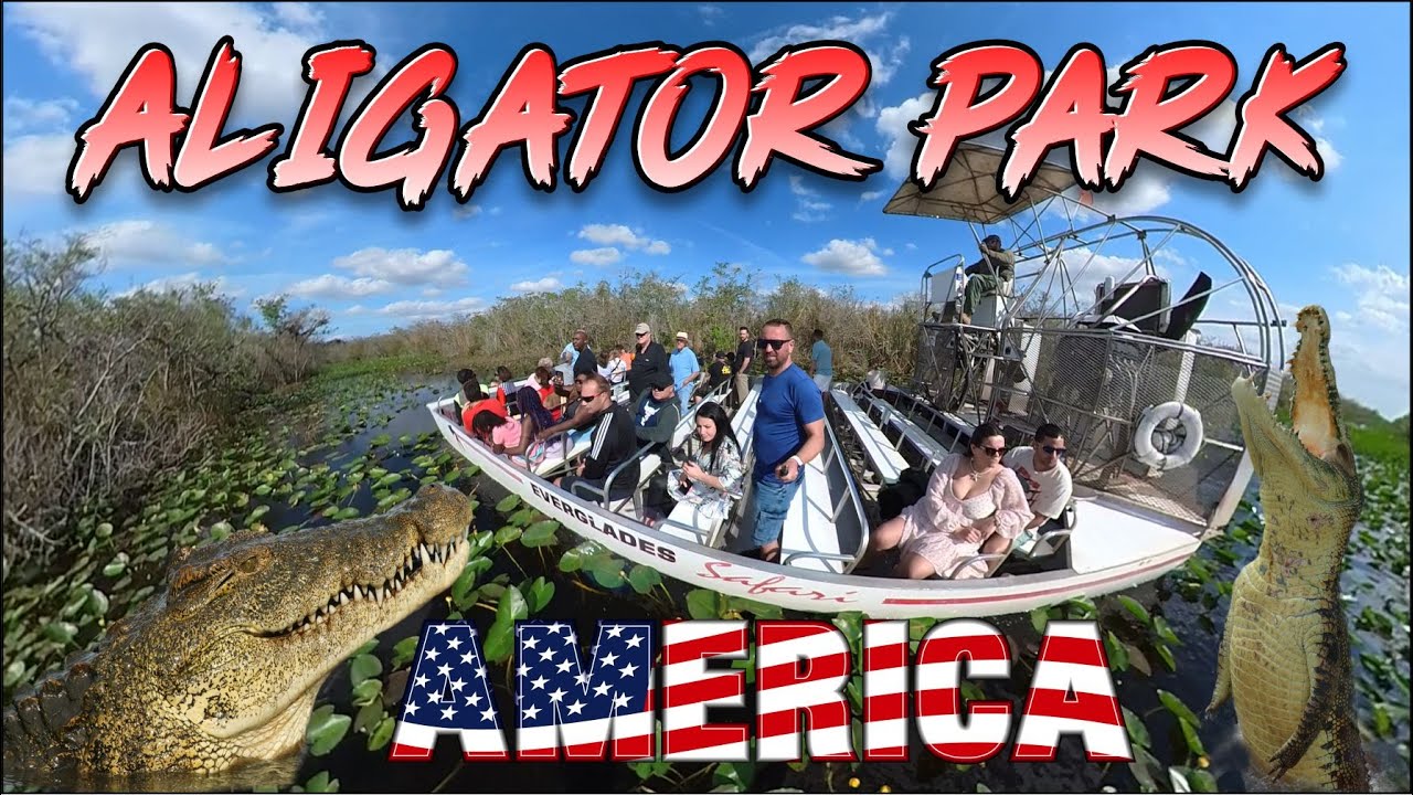 Aligator park
