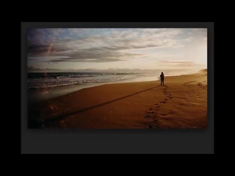 オルガネラVol 8 白い海 Organela Vol 8 The White Ocean 