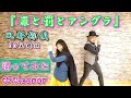 【踊ってみた】『罪と罰とアングラ』風都探偵・ED主題歌『tsumi to batsu to angra』/ (fuuto tantei ed)