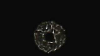 Checking For Collimation On An 8 Reflector