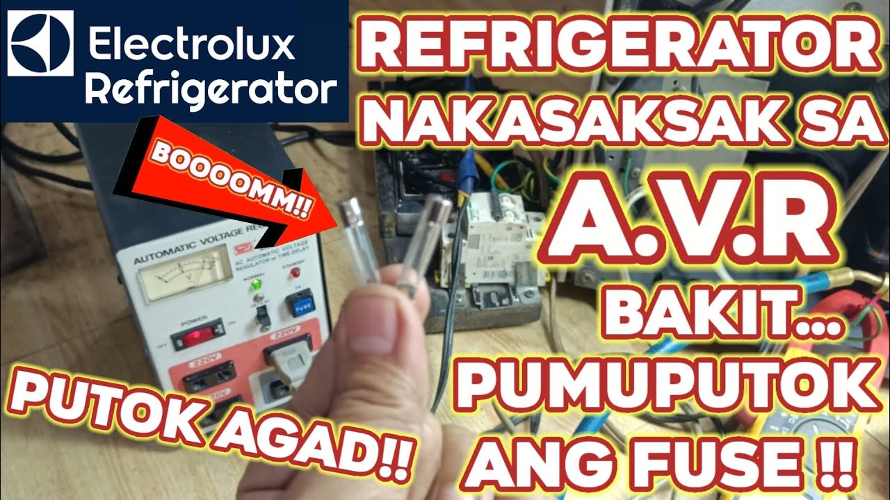 Refrigerator na naka saksak sa AVR Bakit Pumuputok agad ang Fuse Electrolux Refrigerator YouTube