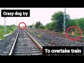 crazy dog try to race with train😂🤣  कुत्ते ने ट्रेन को हरानेकी कोशिश की | coimbatore -  LTT express