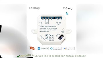 Tuya Smart Life Wifi Switch 2 Gang Relay Breaker Module Google Home Alexa Echo Voice Control Smart L