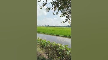 Why nature is so beautiful??