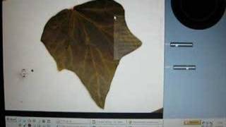 Polynomial Texture Mapping