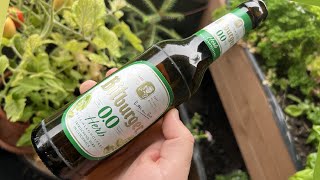 Bitburger Herb Alkoholfrei | Das beste Alkoholfreie? | Biertest #86