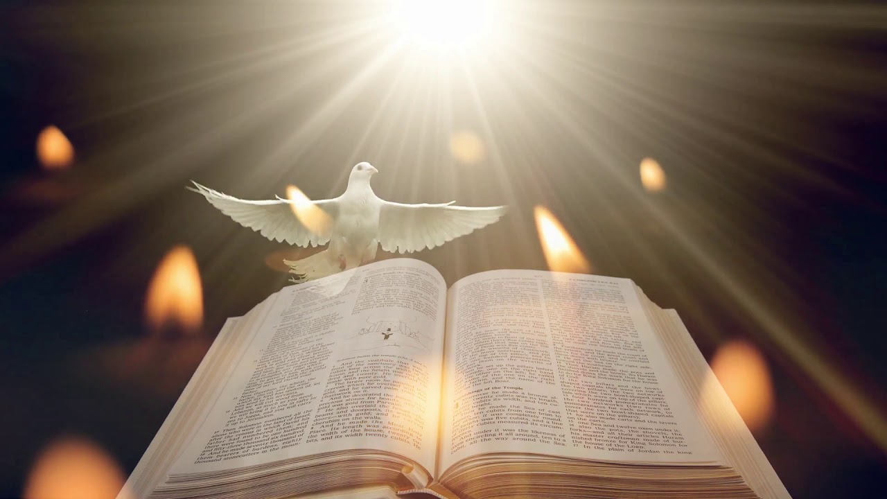 4K Holly bible with beautifull dove&holy light for free use | vfx footage