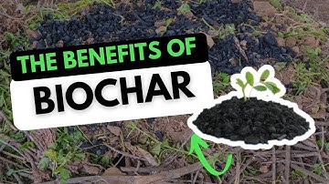 The Benefits of Using Biochar in Your Garden
