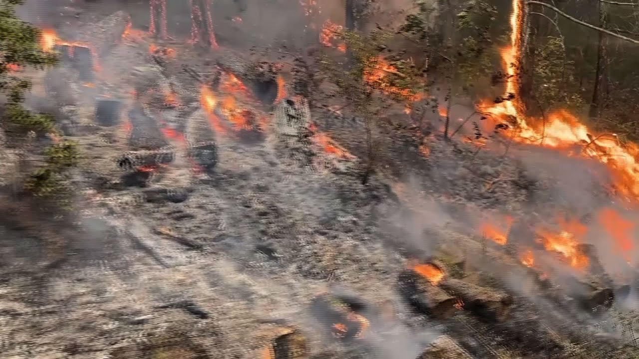 Millions of acres burn in record Calif. wildfires YouTube