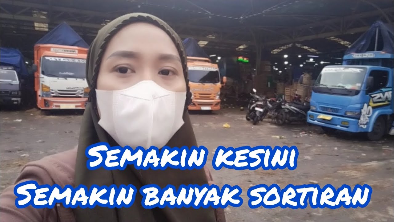 SEMAKIN KE SINI SEMAKIN BANYAK SORTIRAN 🥰😇🌜