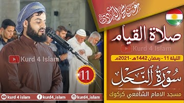 جديد😍سورة النحل{119-128}بترتيل متنوع-من اجمل تلاوات للشيخ رعدالكردي-الليلة 11 رمضان 1442هـ - 2021مـ
