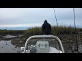 The struggle in St. Augustine was real: Redfish Catch and Cook