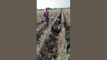 High end high speed trenching and soil raising and ridging machine