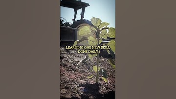 The Power of Consistency | Small Steps, Big Results