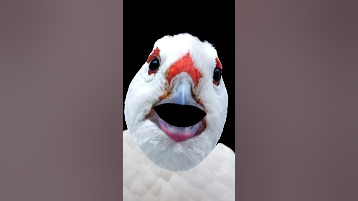 Amikor akarsz olvasni  de nem tuc mert bele beszélnek🤣