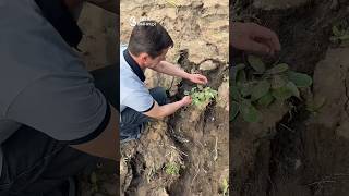 Затоплені погреби, вимиті городи та вулиці, вкриті болотом: негода наробила лиха на Вінниччині