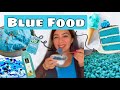 24 Hour BlUE Food Challenge | I Only Ate Blue Food For 24 HOURS | Dilli ki Ladki