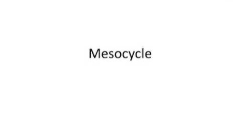 Mesocycle