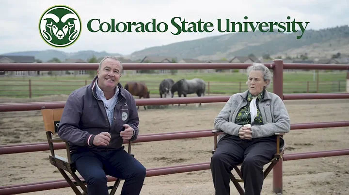 CSU Quarter Horse Project