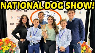 We brought our dog to the NATIONAL DOG SHOW! (CHEWY FREAKED!)