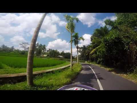 Petulu Village in 1 minute - Ubud, Bali