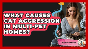 What Causes Cat Aggression In Multi-pet Homes? - Happy Cat Handbook