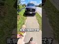 盲導犬の勇敢な判断 命を守った瞬間