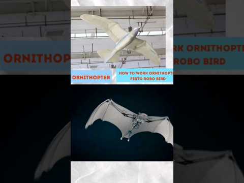 how to make ornithopter #ornithology #drone #dc #scienceproject #fly #bird #howtomake