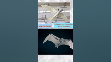 how to make ornithopter #ornithology #drone #dc #scienceproject #fly #bird #howtomake