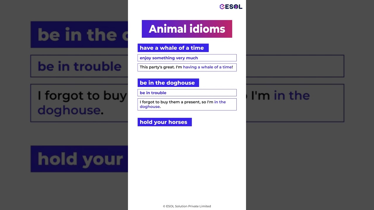 Animal Idioms You Should Definitely Use | Learn with ESL 📚