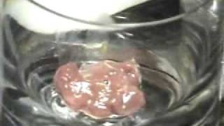 Enzyme Demo lab