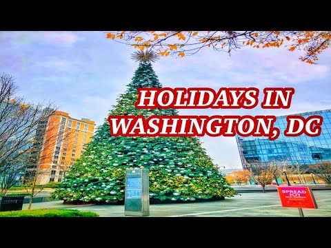 वीडियो: डाउनटाउन डीसी हॉलिडे मार्केट: वाशिंगटन, डी.सी