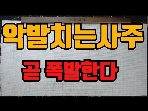 악발치는사주-나는왜악발치는가?