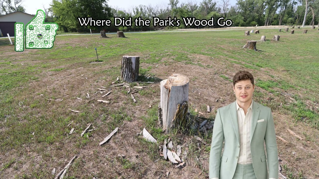 Where Did the Park's Wood Go?