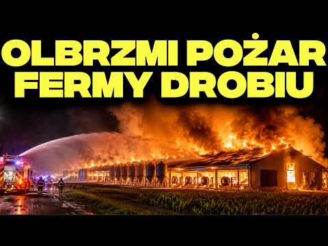 THOUSANDS OF CHICKENS BURNING NEAR POZNAŃ - Poultry Farm Fire