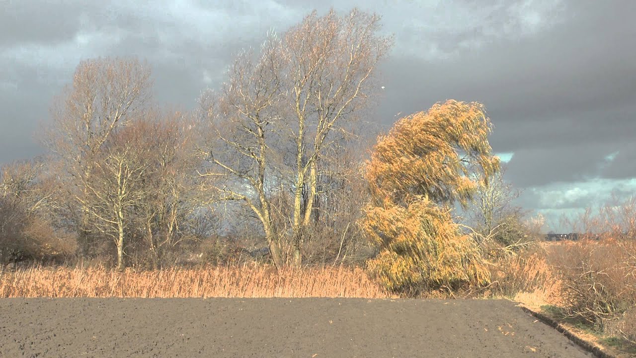 Ergens in WaddenLand van kwelder tot bouwland v.v.