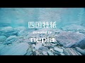 四国特紙 powered by nepia プロモーションムービー