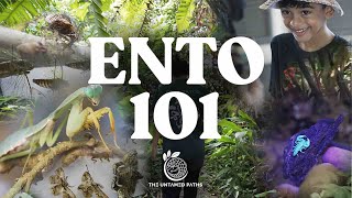 The Untamed Paths | Entomology 101 — 9th July '23 | 4K60