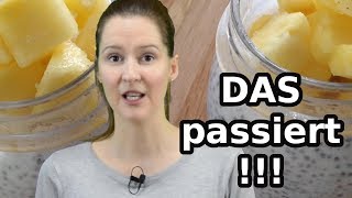 3 GESUNDE LOW CARB Frühstüksideen | schnell zubereitet!