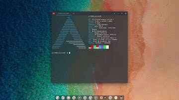 ArcoLinux : 824 ArcoLinuxD and ArcoLinuxB are essentially the same - just delivered differently