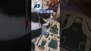 流行りに乗ってみた